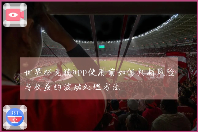 世界杯竞猜app使用前如何判断风险与收益的波动处理方法