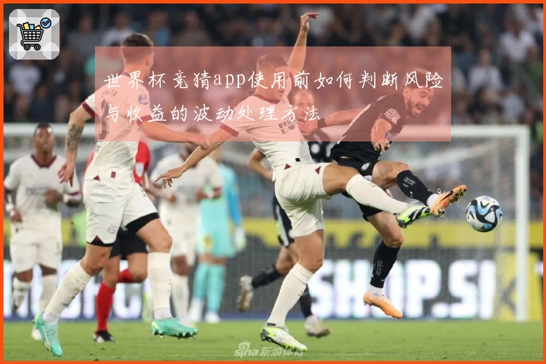 世界杯竞猜app使用前如何判断风险与收益的波动处理方法
