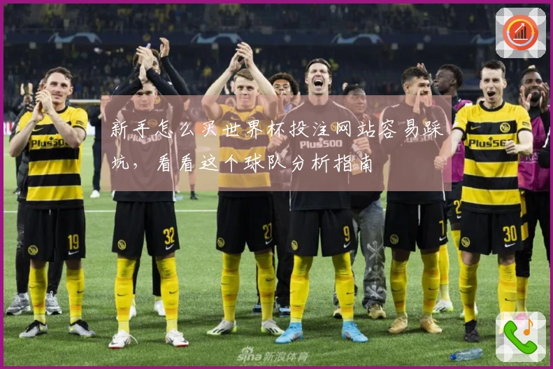 新手怎么买世界杯投注网站容易踩坑，看看这个球队分析指南